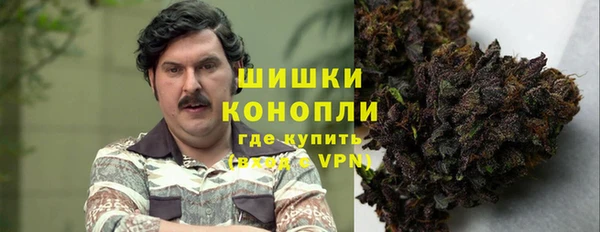 мет Алексин