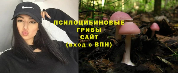 мет Алексин