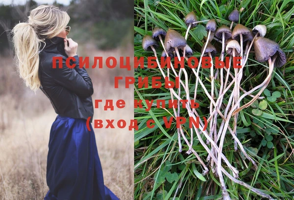 ECSTASY Алзамай