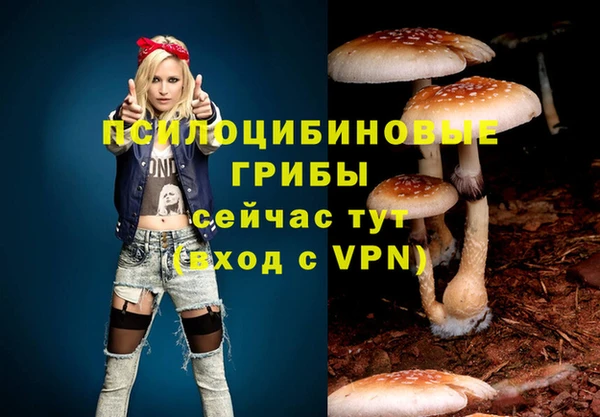 ECSTASY Алзамай