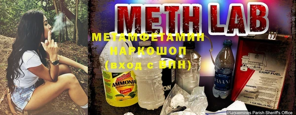 мет Алексин