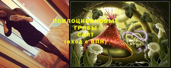 мет Алексин