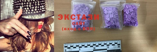 ECSTASY Алзамай